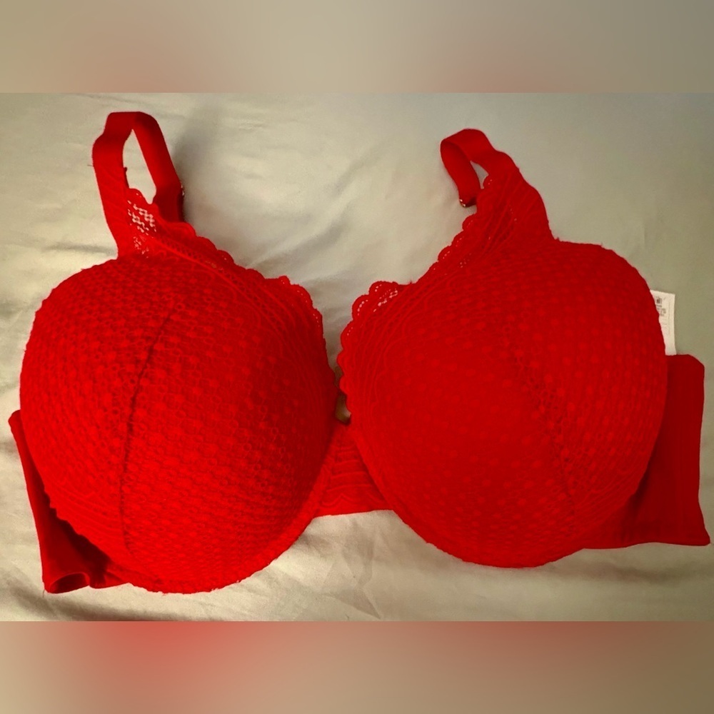 NWT--Elegant Red Lace Bra
42D padded push-up plunge front adjustable